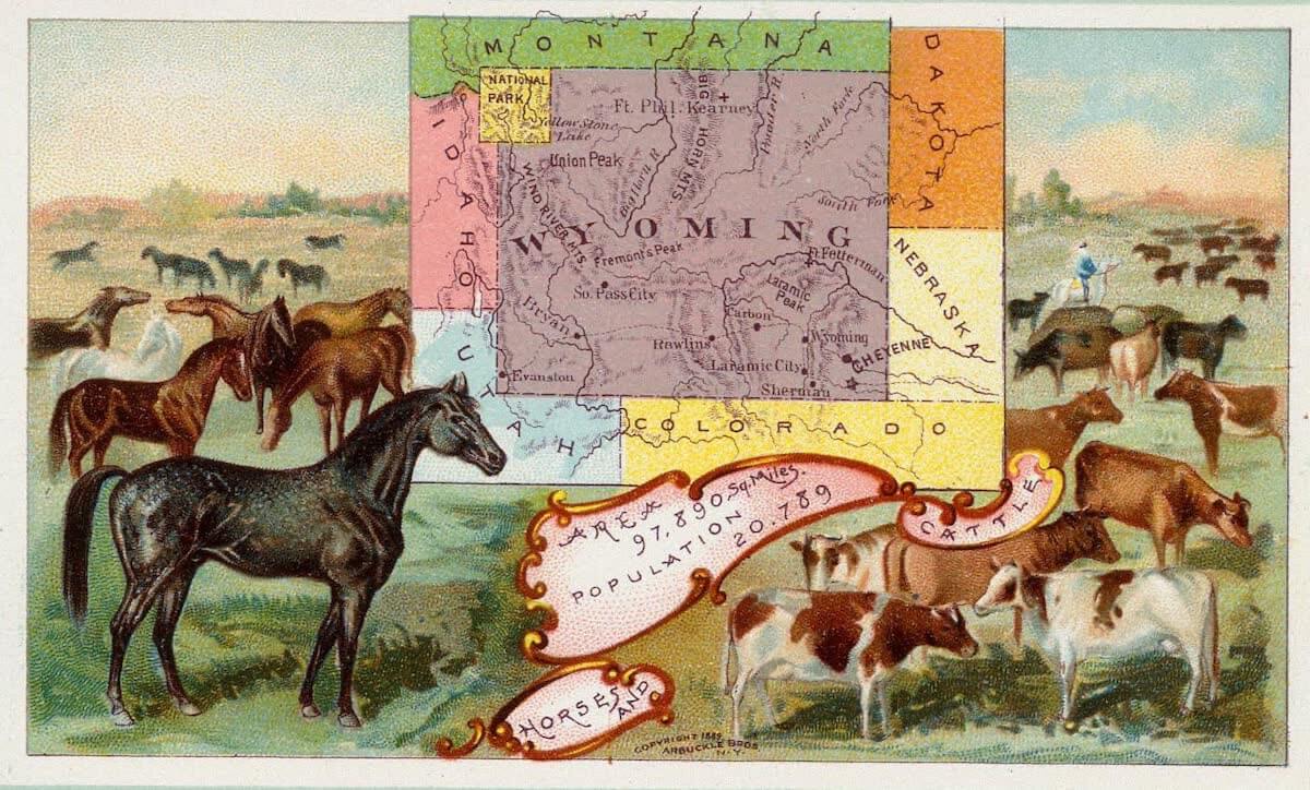 History Archive - Wyoming Collection
